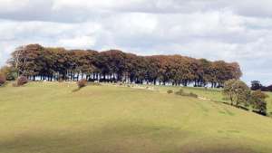 Freezinghill - Bed and Breakfast near Bath