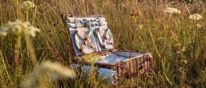Picnic basket with plates and cutlery in a wheat field. Cottage Core. Glamping. mindfulness. Toghill House Farm. Wick. Bath. - Bed and Breakfast near Bath