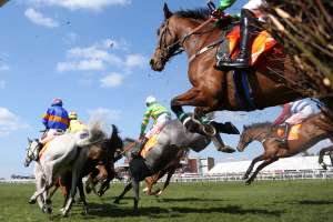 Horse Racing, Bath Racecourse - Bed and Breakfast near Bath