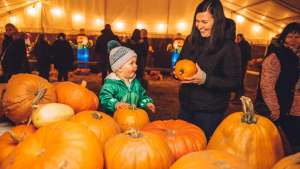 Halloween - Bed and Breakfast near Bath