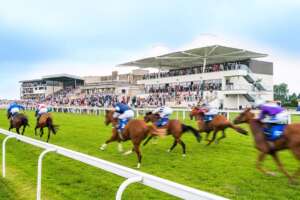 Bath Racecourse - Bed and Breakfast near Bath Racecourse