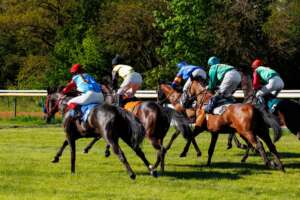 Horseracing in Bath - Bed and Breakfast near Bath Race course