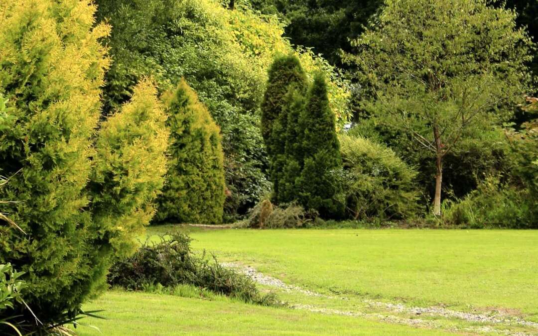 Discover America in the Heart of Rural Bathavon